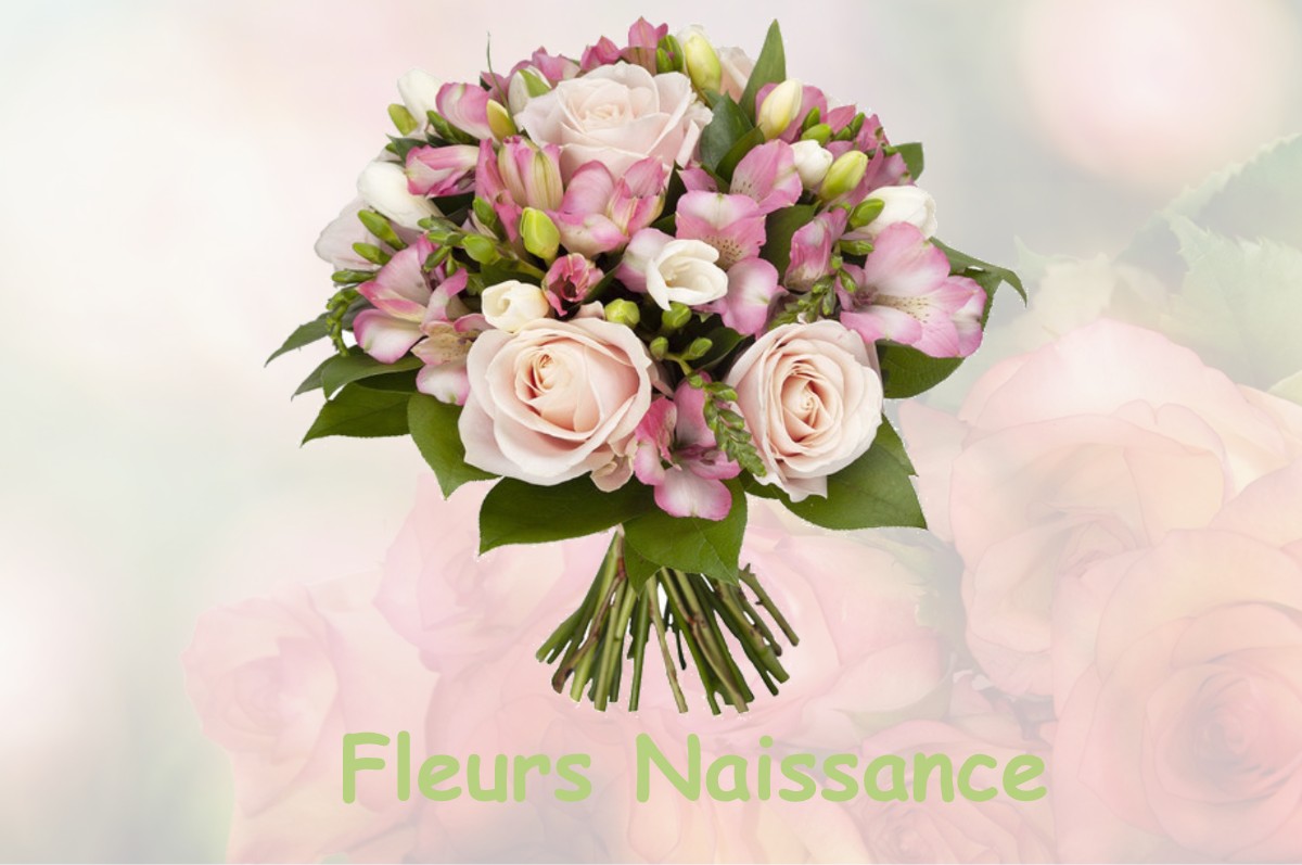 fleurs naissance GENNEVILLIERS