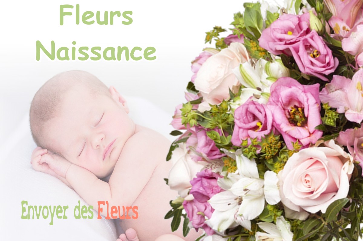 lIVRAISON FLEURS NAISSANCE à GENNEVILLIERS